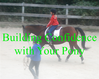 Building Confidence with Your Pony