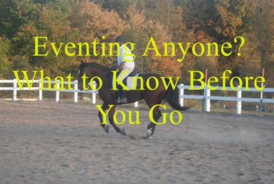 Eventing Anyone? What to Know Before You Go