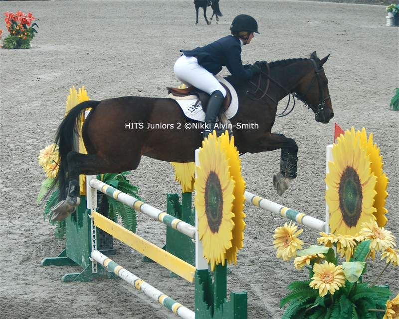 jumping an Oxer