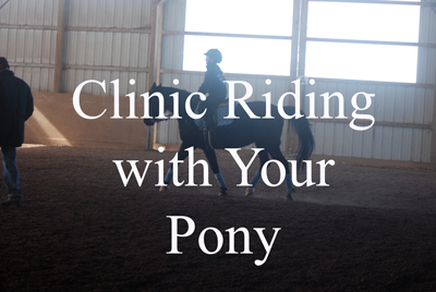 Clinic Riding with Your Pony