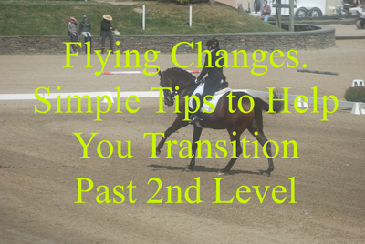 Flying Changes. Simple Tips to Help You Transition Past 2nd Level