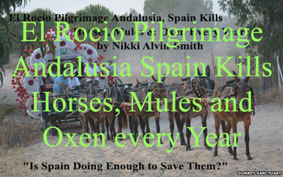 El Rocio Pilgrimage Andalusia Spain Kills Horses, Mules and Oxen every Year