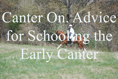 Canter On. Advice for Schooling the Early Canter