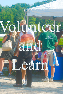 Volunteer and Learn