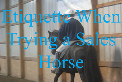 Etiquette When Trying a Sales Horse
