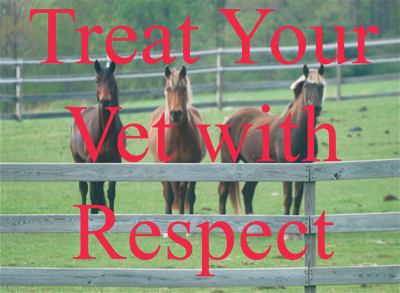 Treat Your Vet with Respect