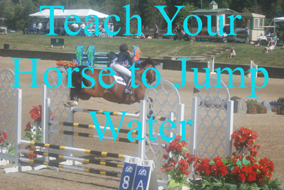 Teach Your Horse to Jump Water