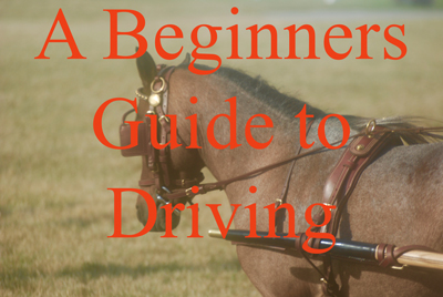 A Beginners Guide to Driving