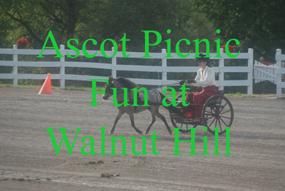 Ascot Picnic Fun at Walnut Hill 