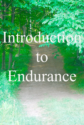 Introduction to Endurance