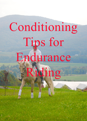 Conditioning Tips for Endurance Riding