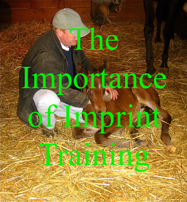 The Importance of Imprint Training