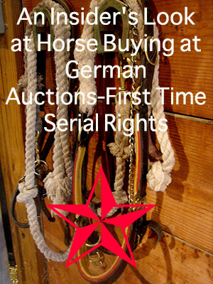 An Insider's Look at Horse Buying at German Auctions