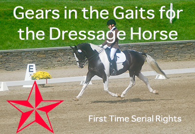 Gears in the Gaits for the Dressage Horse