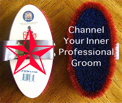 Channel Your Inner Professional Groom