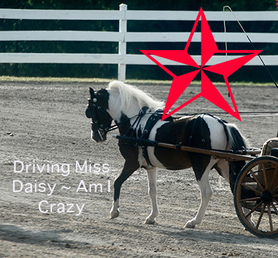 Driving Miss Daisy - Am I Crazy