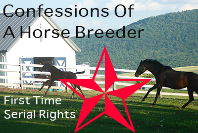 Confessions Of A Horse Breeder