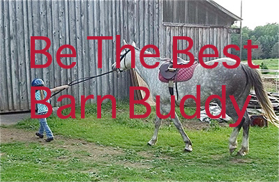 The Top 15 Ways To Be The Best Barn Boarder