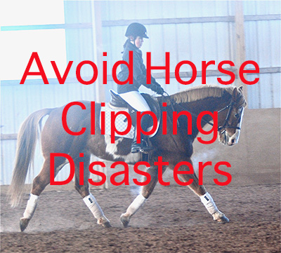 Avoid Horse Clipping Disasters