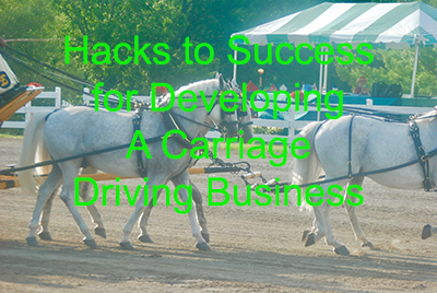 Hacks to Success for Developing A Carriage Driving Business 