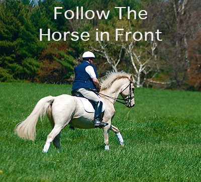 Follow The Horse in Front
