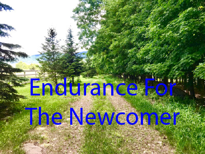 Endurance For The Newcomer