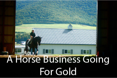 A Horse Business Going For Gold