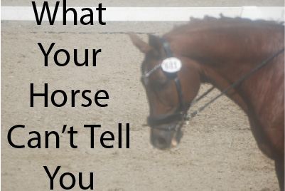 What Your Horse Can't Tell You