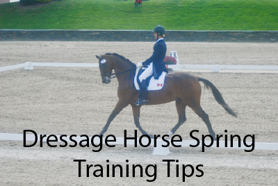 Dressage Horse Spring Training Tips