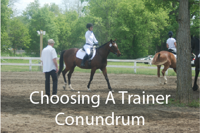 Choosing A Trainer Conundrum