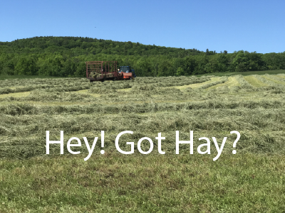 Hey! Got Hay?