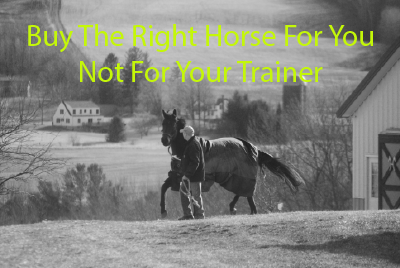 Buy The Right Horse For You Not For Your Trainer