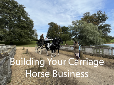 Building Your Carriage Horse Business