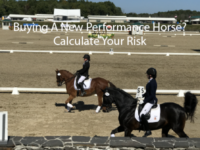 Buying A New Performance Horse? Calculate Your Risk
