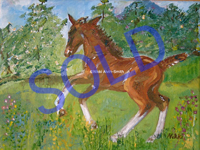 Hannovarian Colt