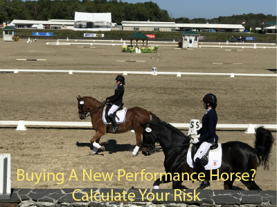 Buying A New Performance Horse? Calculate Your Risk