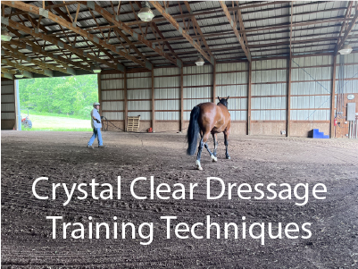 Crystal Clear Dressage Training Techniques